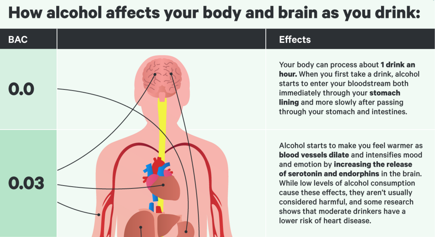 What Happens to Your Body as You Get More Drunk ATTN